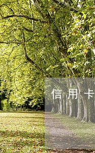 信用卡逾期三个小时