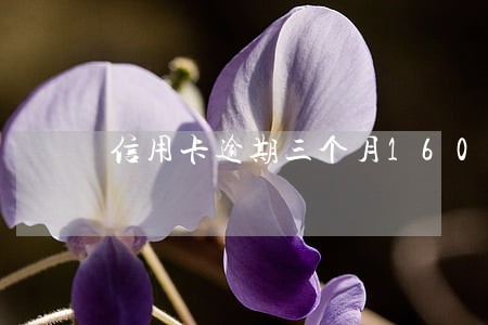 信用卡逾期三个月16000 信用卡逾期三个月16000