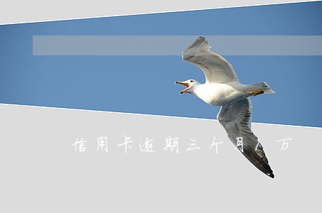 信用卡逾期三个月1万 信用卡逾期三个月1万