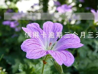 信用卡逾期三个月三天 信用卡逾期三个月三天