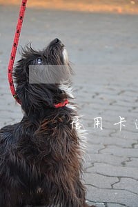 信用卡逾期三个月上征信了吗 信用卡逾期三个月上征信了吗