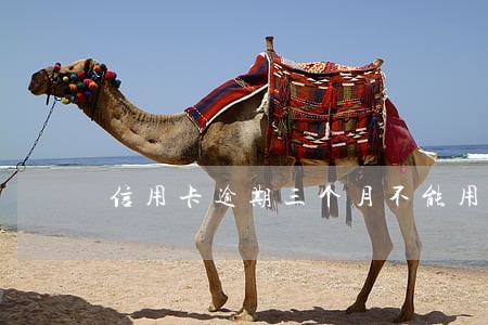 信用卡逾期三个月不能用了吗 信用卡逾期三个月不能用了吗