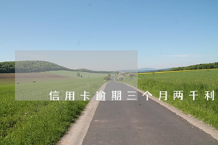 信用卡逾期三个月两千利息 信用卡逾期三个月两千利息