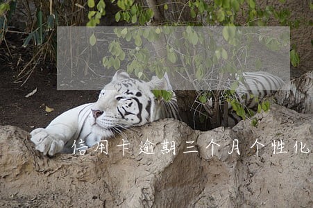 信用卡逾期三个月个性化分期