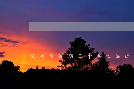 信用卡逾期三个月之后还本金 信用卡逾期三个月之后还本金