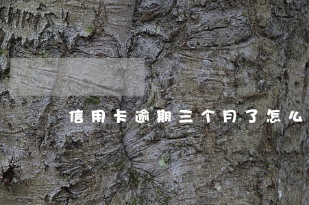 信用卡逾期三个月了怎么算 信用卡逾期三个月了怎么算