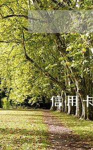 信用卡逾期三个月了还能继续用吗