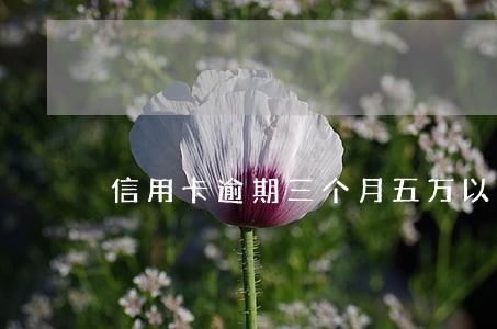 信用卡逾期三个月五万以上 信用卡逾期三个月五万以上