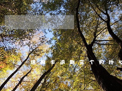 信用卡逾期三个月什么意思 信用卡逾期三个月什么意思
