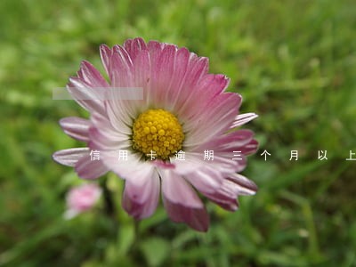 信用卡逾期三个月以上的伙伴必看 信用卡逾期三个月以上的伙伴必看