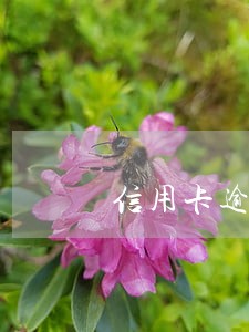 信用卡逾期三个月以内的影响 信用卡逾期三个月以内的影响