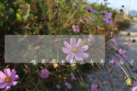 信用卡逾期三个月以后才还款 信用卡逾期三个月以后才还款
