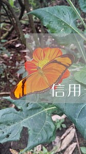 信用卡逾期三个月优先还本金