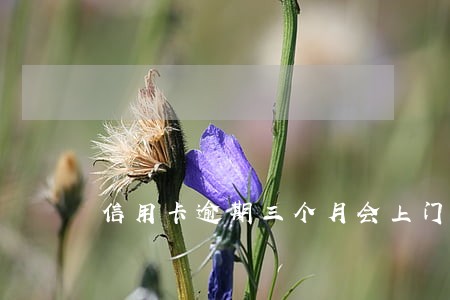 信用卡逾期三个月会上门催收 信用卡逾期三个月会上门催收