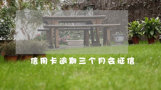 信用卡逾期三个月会征信 信用卡逾期三个月会征信