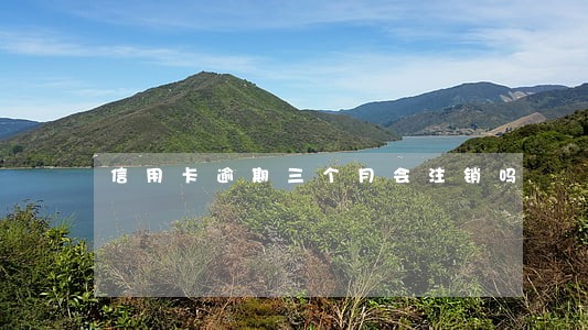 信用卡逾期三个月会注销吗