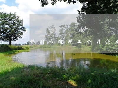 信用卡逾期三个月会立案 信用卡逾期三个月会立案
