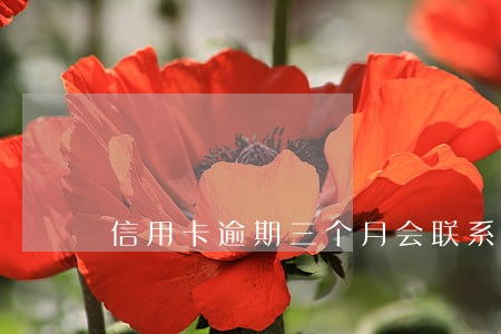 信用卡逾期三个月会联系家人 信用卡逾期三个月会联系家人