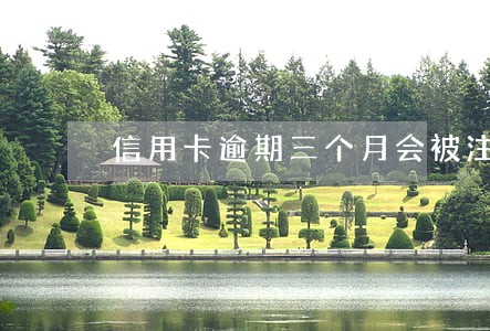 信用卡逾期三个月会被注销嘛