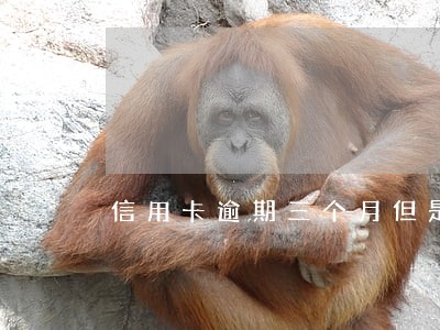 信用卡逾期三个月但是全部还请