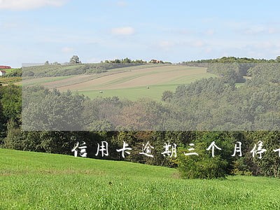 信用卡逾期三个月停卡了 信用卡逾期三个月停卡了