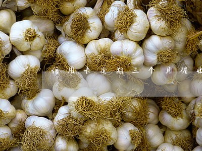 信用卡逾期三个月催收说起诉