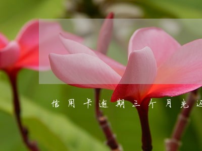 信用卡逾期三个月先还500