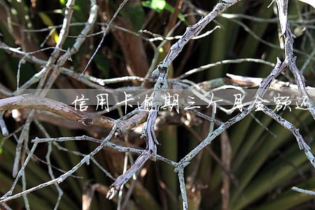 信用卡逾期三个月全额还款了 信用卡逾期三个月全额还款了