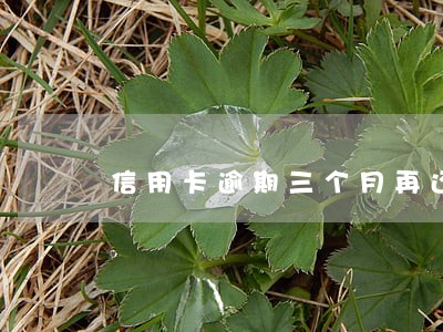 信用卡逾期三个月再还