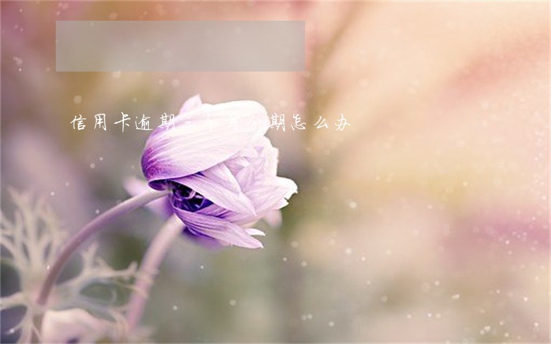 信用卡逾期三个月分期怎么办 信用卡逾期三个月分期怎么办