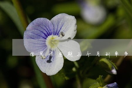 信用卡逾期三个月利率多少 信用卡逾期三个月利率多少