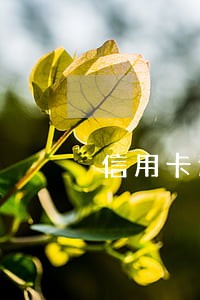 信用卡逾期三个月十二元 信用卡逾期三个月十二元