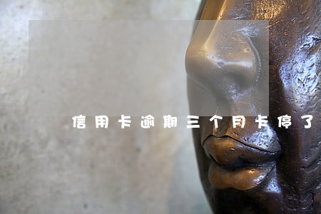信用卡逾期三个月卡停了怎么办 信用卡逾期三个月卡停了怎么办