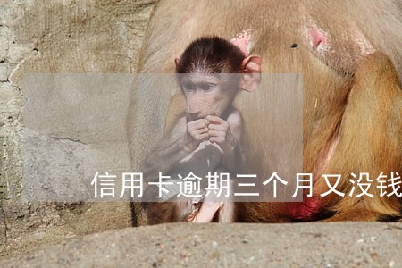 信用卡逾期三个月又没钱还怎么办