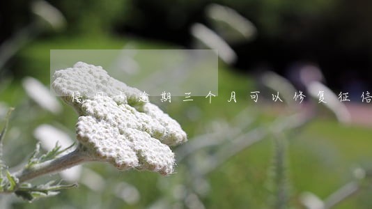 信用卡逾期三个月可以修复征信 信用卡逾期三个月可以修复征信