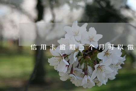 信用卡逾期三个月可以做车贷吗 信用卡逾期三个月可以做车贷吗