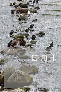信用卡逾期三个月可以出境吗 信用卡逾期三个月可以出境吗