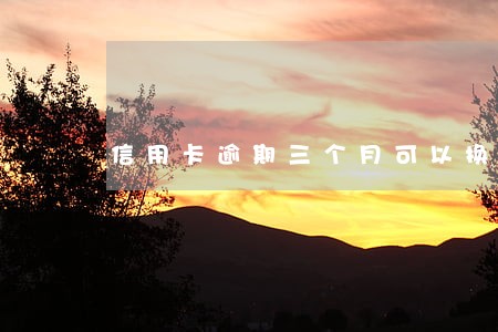 信用卡逾期三个月可以换美金吗