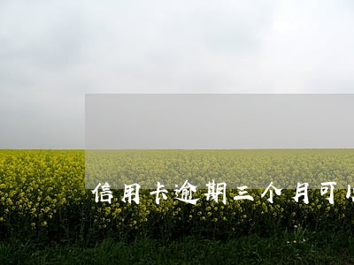 信用卡逾期三个月可以还本金 信用卡逾期三个月可以还本金