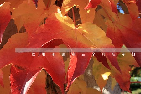 信用卡逾期三个月后不打电话了