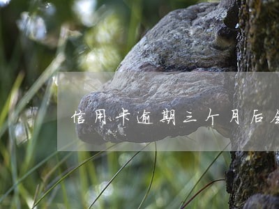 信用卡逾期三个月后会上征信吗