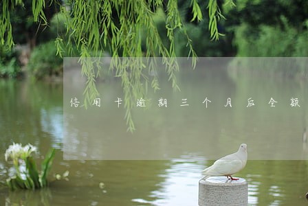 信用卡逾期三个月后全额还款