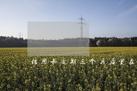 信用卡逾期三个月后实在没钱