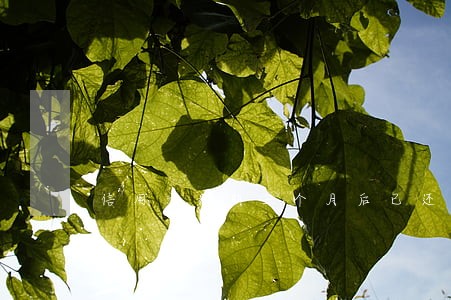 信用卡逾期三个月后已还款 信用卡逾期三个月后已还款