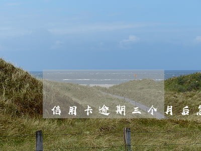 信用卡逾期三个月后怎么还 信用卡逾期三个月后怎么还