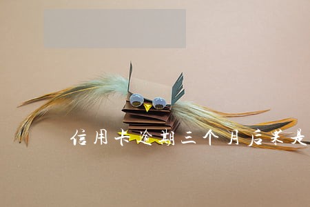 信用卡逾期三个月后果是什么 信用卡逾期三个月后果是什么