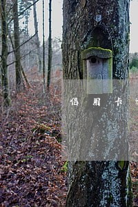 信用卡逾期三个月后结案处理 信用卡逾期三个月后结案处理