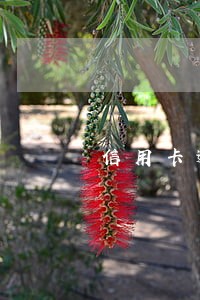 信用卡逾期三个月后续还款行吗 信用卡逾期三个月后续还款行吗