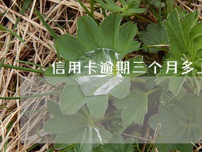 信用卡逾期三个月多上门抓人吗 信用卡逾期三个月多上门抓人吗