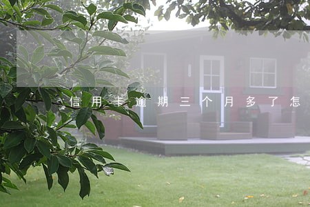 信用卡逾期三个月多了怎么办